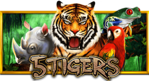 5 Tigers